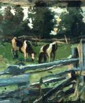 Cows